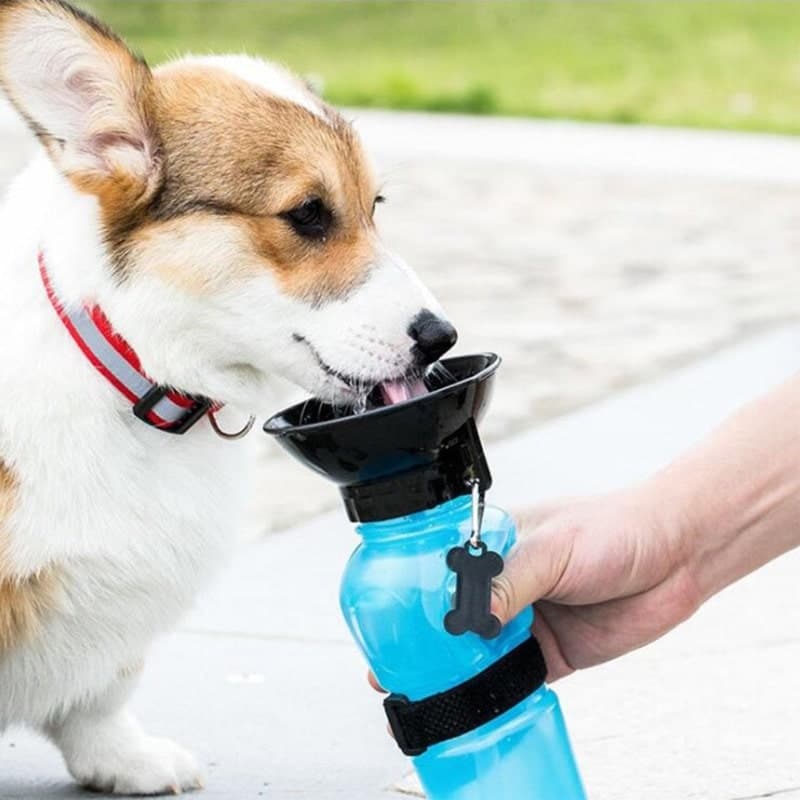 Botella De Agua Portable Para Mascotas Y Bebedero